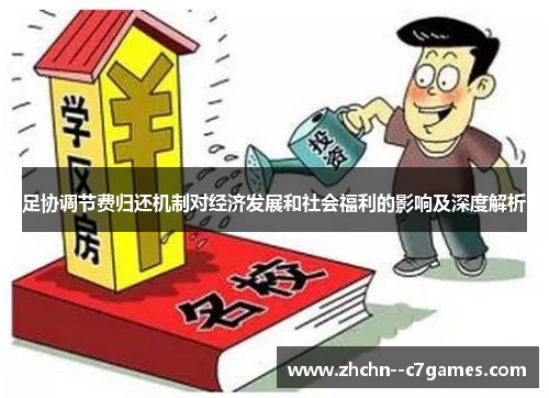足协调节费归还机制对经济发展和社会福利的影响及深度解析
