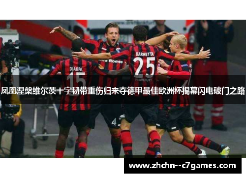 凤凰涅槃维尔茨十字韧带重伤归来夺德甲最佳欧洲杯揭幕闪电破门之路